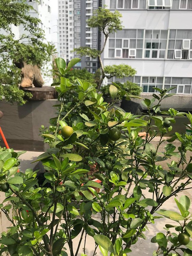 &ldquo;Mỹ nh&acirc;n đắt gi&aacute; nhất showbiz&rdquo; ở biệt thự 30 tỷ ven s&ocirc;ng giữa l&ograve;ng Thảo Điền: Đẳng cấp thượng lưu l&agrave; đ&acirc;y!- Ảnh 18.