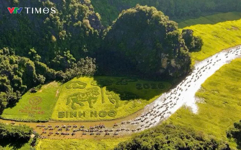 Ninh B&igrave;nh x&aacute;c minh th&ocirc;ng tin nữ du kh&aacute;ch chia sẻ chuyện "t&acirc;m linh" g&acirc;y x&ocirc;n xao mạng x&atilde; hội - Ảnh 1.