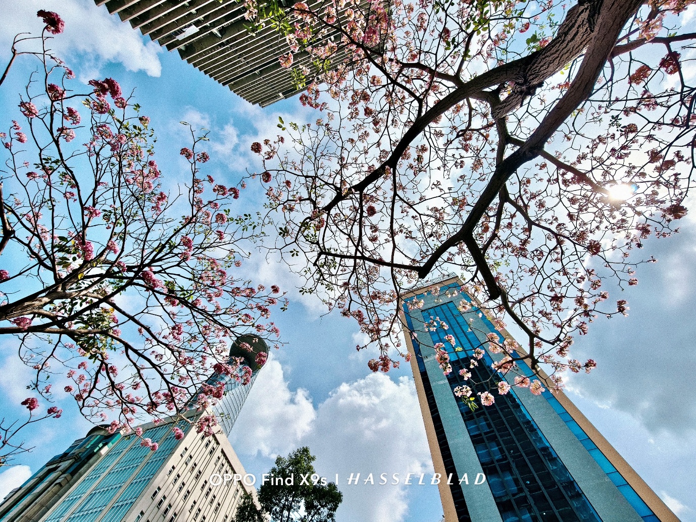 OPPO Find X9s: Chiếc flagship nhỏ gọn cho những chuyến đi nhiều cảm xúc - Ảnh 3. OPPO Find X9s: Chiếc flagship nhỏ gọn cho những chuyến đi nhiều cảm xúc - Ảnh 3.