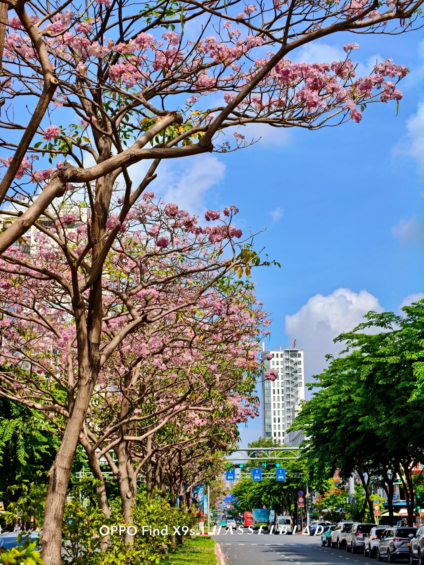 OPPO Find X9s: Chiếc flagship nhỏ gọn cho những chuyến đi nhiều cảm xúc - Ảnh 4. OPPO Find X9s: Chiếc flagship nhỏ gọn cho những chuyến đi nhiều cảm xúc - Ảnh 4.