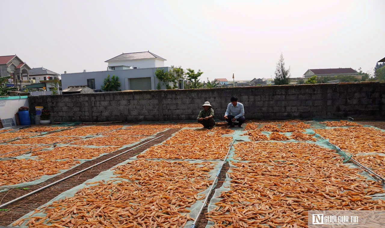 Loại đặc sản gi&uacute;p cả th&ocirc;n &ldquo;đổi đời&rdquo;, cho nguồn thu h&agrave;ng chục tỷ mỗi năm- Ảnh 3.