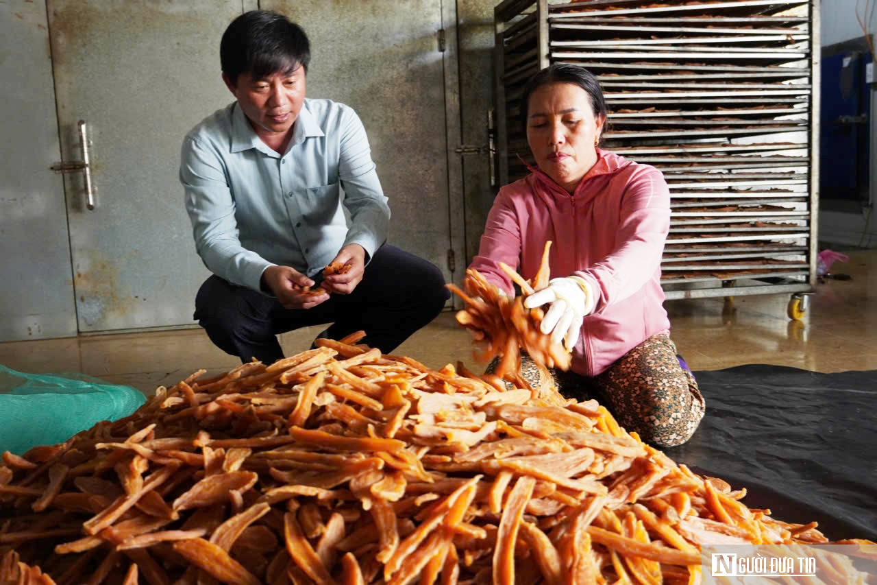 Loại đặc sản gi&uacute;p cả th&ocirc;n &ldquo;đổi đời&rdquo;, cho nguồn thu h&agrave;ng chục tỷ mỗi năm- Ảnh 6.