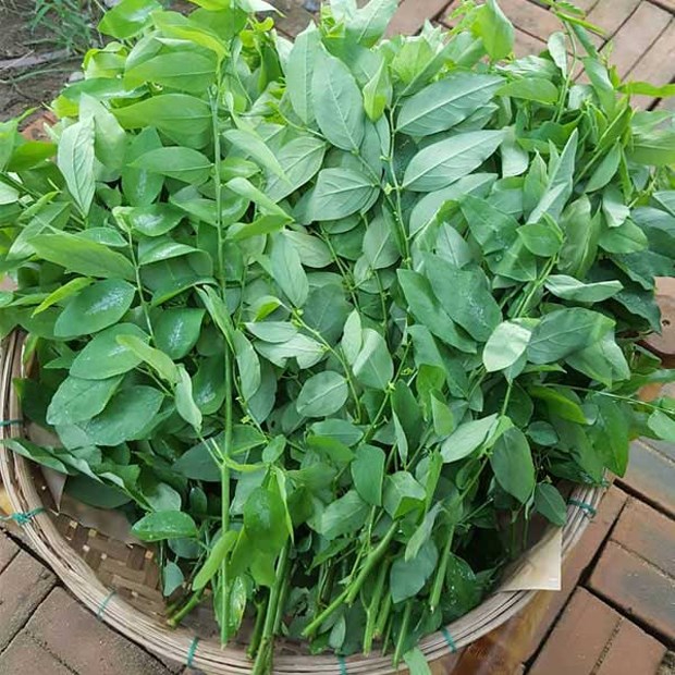 5 loại rau đang đ&uacute;ng m&ugrave;a, đi chợ thấy l&agrave; n&ecirc;n mua- Ảnh 4.