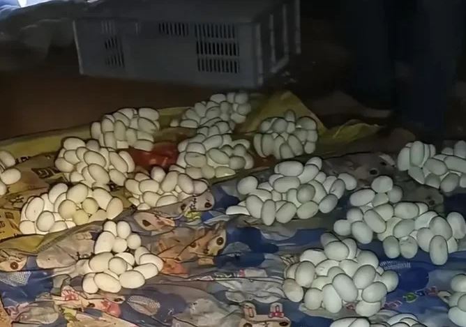 Mở cửa căn ph&ograve;ng trống, nam thanh ni&ecirc;n chứng kiến cảnh tượng "kh&ocirc;ng thể tin nổi" - Ảnh 1.