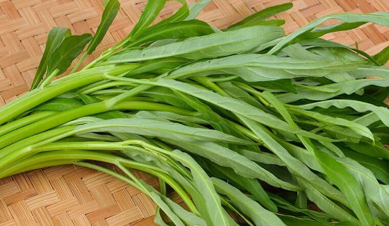 5 loại rau đang đ&uacute;ng m&ugrave;a, đi chợ thấy l&agrave; n&ecirc;n mua- Ảnh 3.