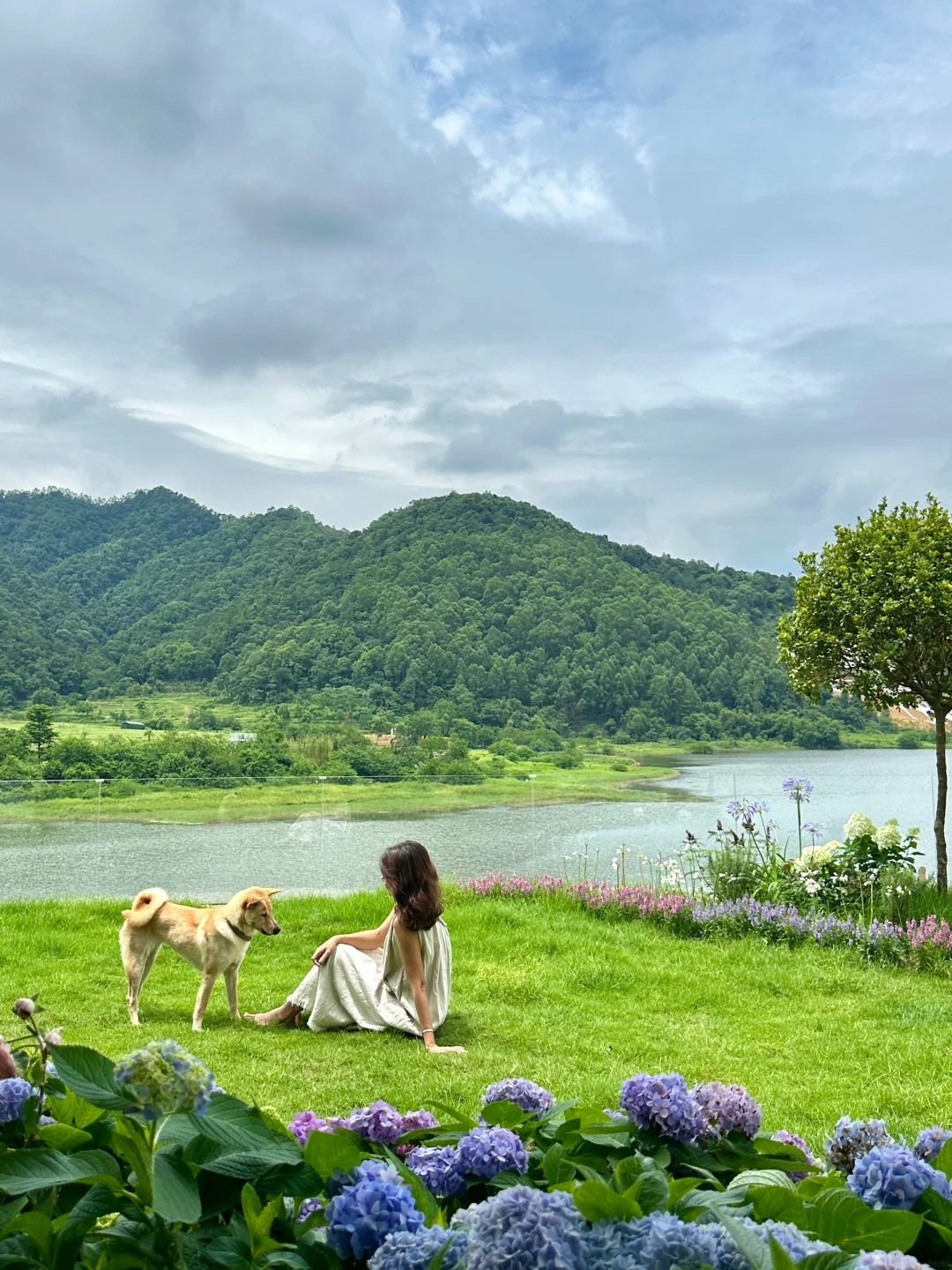 Căn biệt thự 850m2 b&ecirc;n hồ, tiện nghi như resort kh&eacute;p k&iacute;n của người phụ nữ kh&ocirc;ng đi l&agrave;m, kh&ocirc;ng kết h&ocirc;n - Ảnh 4.