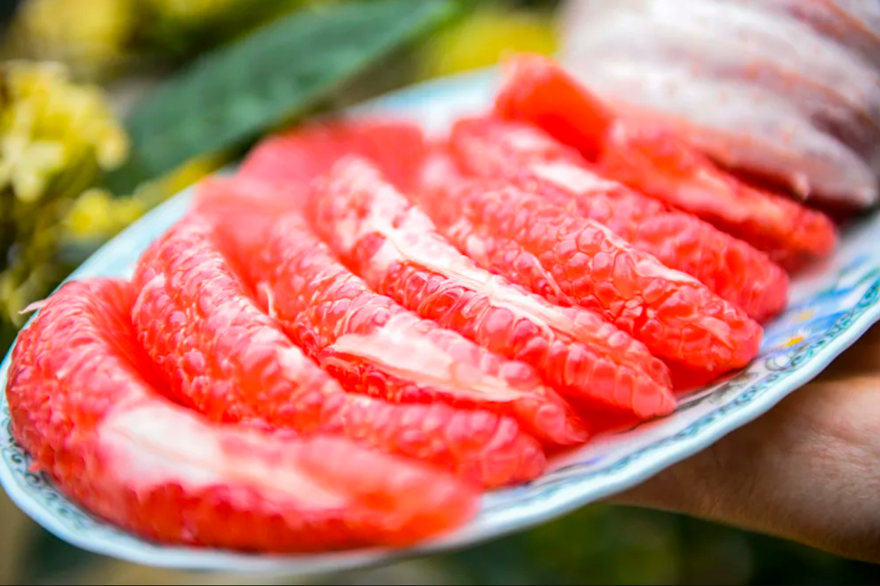 Loại quả Việt Nam lọt top ngon nhất thế giới: Chỉ có ở Thanh Hóa, mỗi năm thu 1 lần, cận vụ càng khó mua - Ảnh 2.