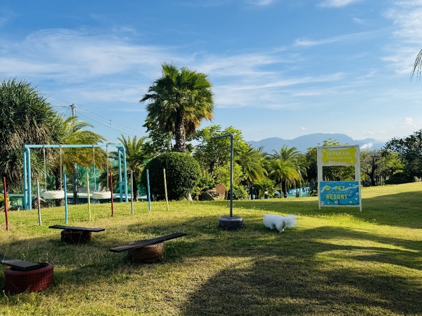 Khi &ldquo;boss&rdquo; cũng cần một kỳ nghỉ: Duy&ecirc;n H&agrave; Resort Cam Ranh v&agrave; trải nghiệm Pet Friendly giữa B&atilde;i D&agrave;i - Ảnh 4.
