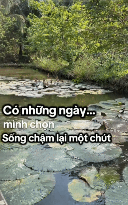 Mẹ đảm miền T&acirc;y nghỉ việc ở tuổi 32, mở tiệm nước bằng 6 triệu đồng: L&atilde;i th&aacute;ng đầu chưa tới 700.000 đồng nhưng b&agrave;i học về d&ograve;ng tiền mới đắt gi&aacute; nhất- Ảnh 20.