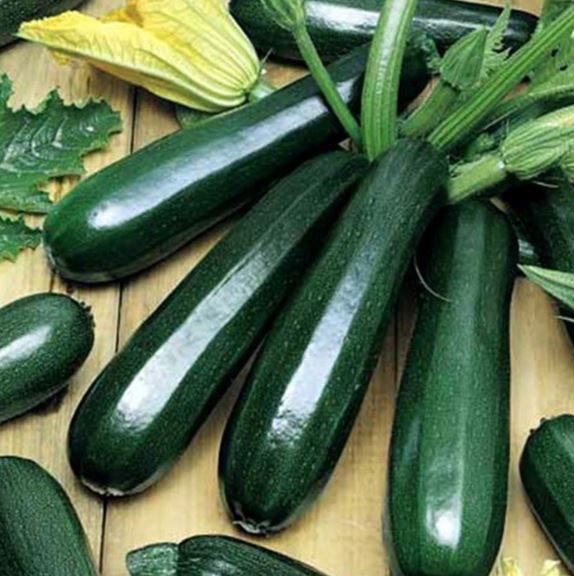 Phần thường bị bỏ đi của b&iacute; ng&ograve;i kh&ocirc;ng ngờ l&agrave; "kho dưỡng chất" - Ảnh 2.