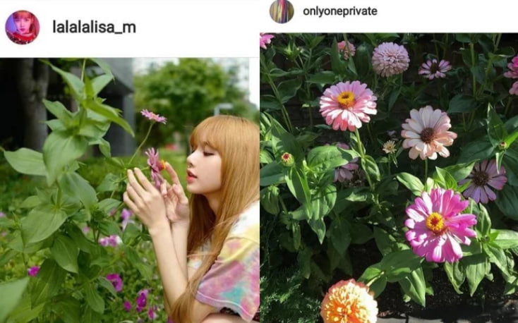 Lisa (BLACKPINK) bỏ tiền tỷ l&agrave;m MV buồn nhất sự nghiệp cho 1 người, đau khổ nhiều lần v&igrave; y&ecirc;u- Ảnh 6.