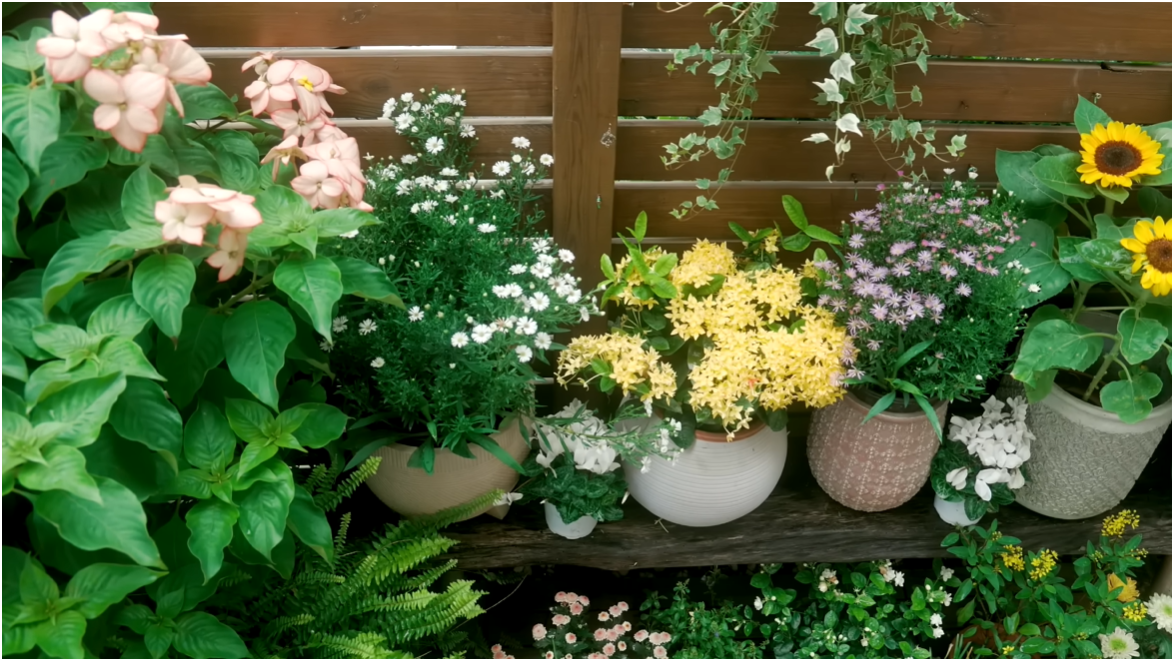 B&ecirc;n trong biệt thự cổ 300m2 giữa rừng của nữ TikToker 3 triệu follower - Ảnh 10.