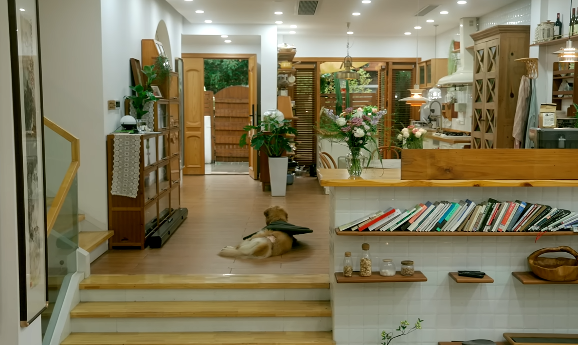 B&ecirc;n trong biệt thự cổ 300m2 giữa rừng của nữ TikToker 3 triệu follower - Ảnh 12.