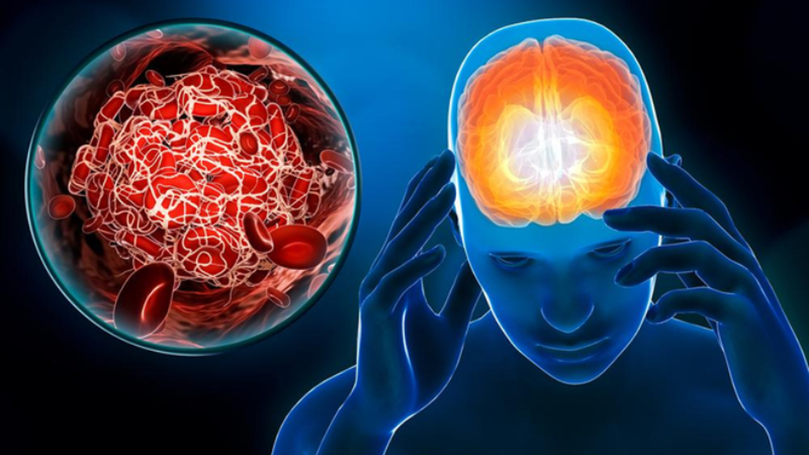 Giới si&ecirc;u gi&agrave;u ch&acirc;u &Aacute; v&agrave; "cuộc chiến" chi h&agrave;ng trăm triệu đồng mỗi năm để săn t&igrave;m một cục m&aacute;u đ&ocirc;ng chưa kịp h&igrave;nh th&agrave;nh- Ảnh 4.