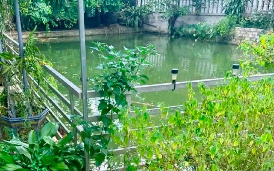 Ph&aacute;t hiện thi thể chị em ruột 7 tuổi v&agrave; 3 tuổi dưới ao h&agrave;ng x&oacute;m: Đau x&oacute;t ho&agrave;n cảnh gia đ&igrave;nh nạn nh&acirc;n - Ảnh 2.