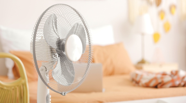 D&ugrave;ng quạt 3 c&aacute;nh hay 5 c&aacute;nh m&aacute;t hơn? Giật m&igrave;nh biết đ&aacute;p &aacute;n - Ảnh 2.