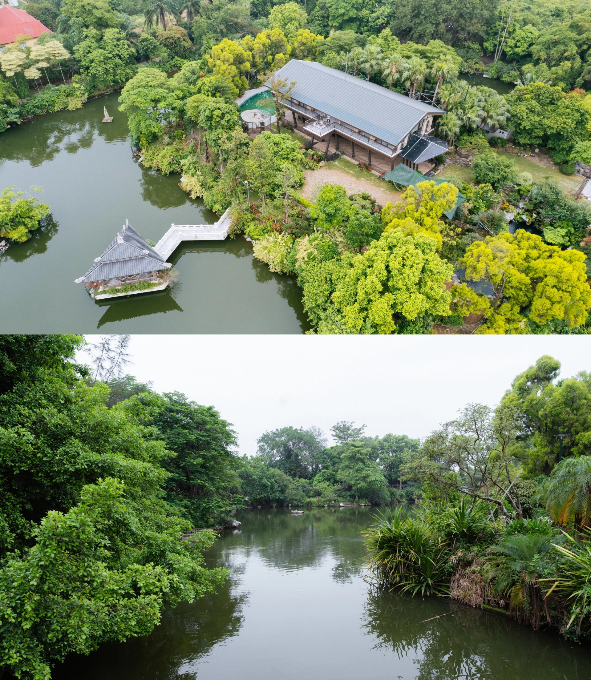 Nữ tiến sĩ, giảng vi&ecirc;n thanh nhạc được chồng x&acirc;y tặng nh&agrave; 25.000m2 như khu sinh th&aacute;i ở H&agrave; Nội- Ảnh 2.