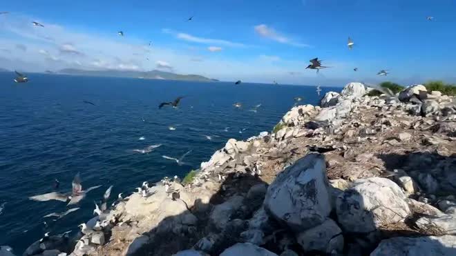 Lần đầu ti&ecirc;n: To&agrave;n bộ người d&acirc;n Việt Nam được trải nghiệm miễn ph&iacute; 1 thứ - Ảnh 5.