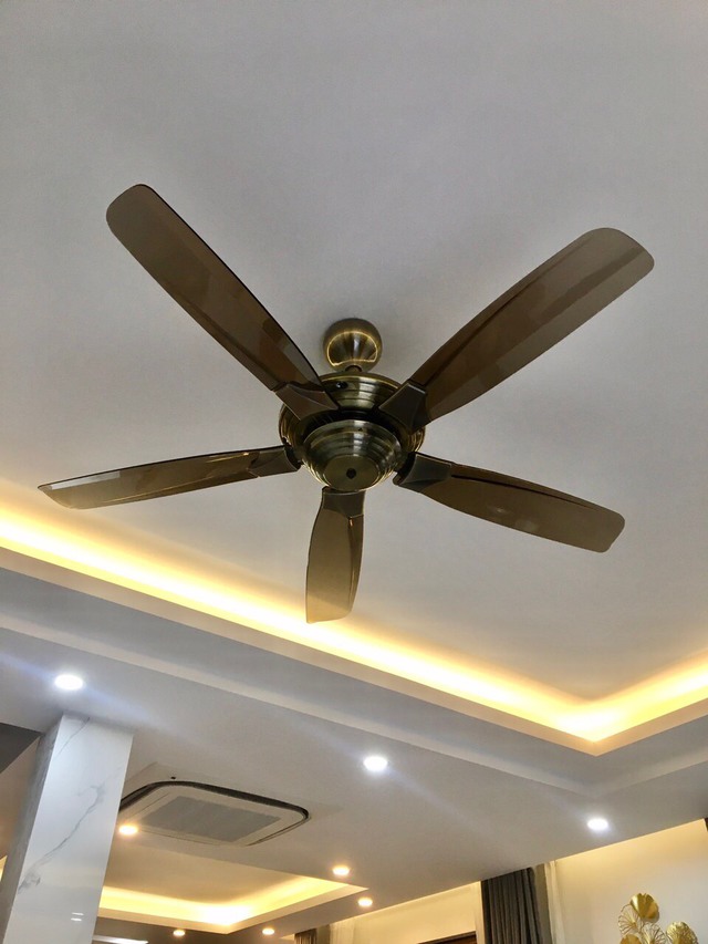 D&ugrave;ng quạt 3 c&aacute;nh hay 5 c&aacute;nh m&aacute;t hơn? Giật m&igrave;nh biết đ&aacute;p &aacute;n - Ảnh 3.