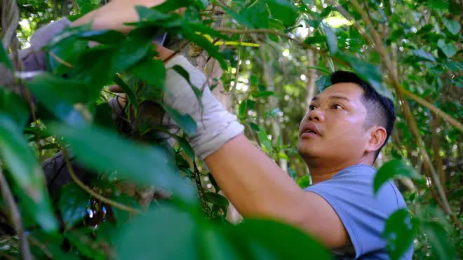 Lần đầu ti&ecirc;n: To&agrave;n bộ người d&acirc;n Việt Nam được trải nghiệm miễn ph&iacute; 1 thứ - Ảnh 7.