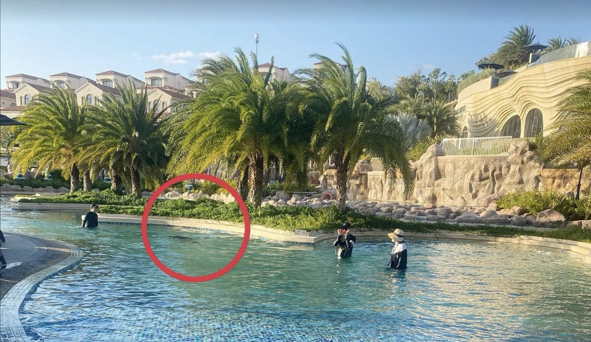 Phục hồi điều tra vụ b&eacute; 11 tuổi người Nhật tử vong ở hồ bơi tại resort- Ảnh 1.