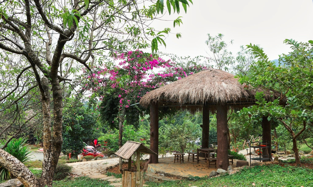 "&Ocirc;ng ho&agrave;ng nhạc đỏ" chia tay vợ đẹp như hoa hậu, thấy sướng khi sống 1 m&igrave;nh tr&ecirc;n đồi ở Thạch Thất- Ảnh 8.