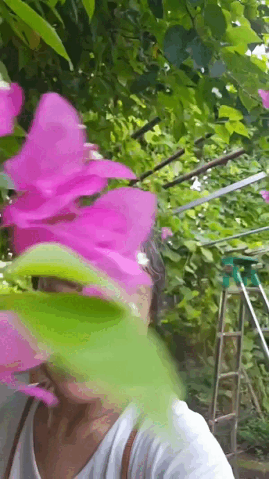 Nữ nghệ sĩ Việt sở hữu khu vườn rộng 4000m&sup2; ven s&ocirc;ng Hồng, U60 tận hưởng cuộc sống điền vi&ecirc;n chill kh&ocirc;ng thể tả- Ảnh 3.