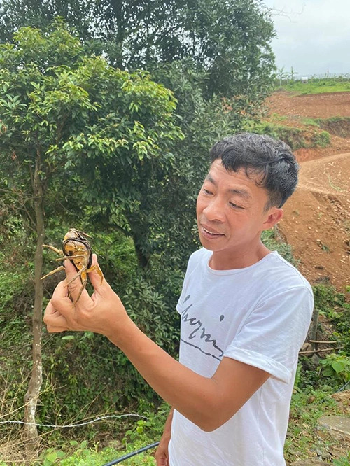 "&Ocirc;ng ho&agrave;ng nhạc đỏ" chia tay vợ đẹp như hoa hậu, thấy sướng khi sống 1 m&igrave;nh tr&ecirc;n đồi ở Thạch Thất- Ảnh 9.