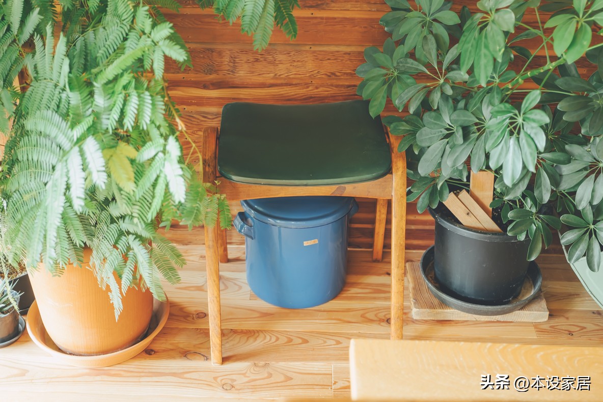 Người phụ nữ U40 biến căn bếp th&agrave;nh &ldquo;khu vườn xanh&rdquo; với hơn 30 loại c&acirc;y: Mỗi s&aacute;ng thức dậy đều thấy cuộc sống đ&aacute;ng y&ecirc;u hơn- Ảnh 7.