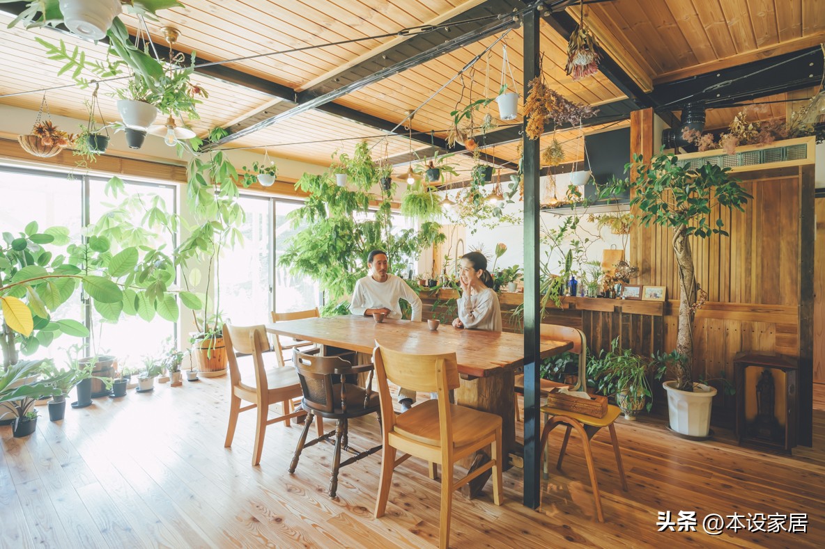 Người phụ nữ U40 biến căn bếp th&agrave;nh &ldquo;khu vườn xanh&rdquo; với hơn 30 loại c&acirc;y: Mỗi s&aacute;ng thức dậy đều thấy cuộc sống đ&aacute;ng y&ecirc;u hơn- Ảnh 8.
