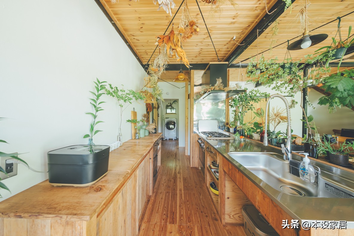 Người phụ nữ U40 biến căn bếp th&agrave;nh &ldquo;khu vườn xanh&rdquo; với hơn 30 loại c&acirc;y: Mỗi s&aacute;ng thức dậy đều thấy cuộc sống đ&aacute;ng y&ecirc;u hơn- Ảnh 5.