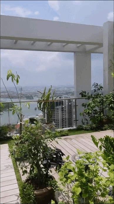 Thứ quả c&oacute; nguồn gốc từ Mexico được b&aacute;n gi&aacute; 500k/c&acirc;n lại xuất hiện đầy trong khu vườn tr&ecirc;n penthouse của Diva Hồng Nhung - Ảnh 4.