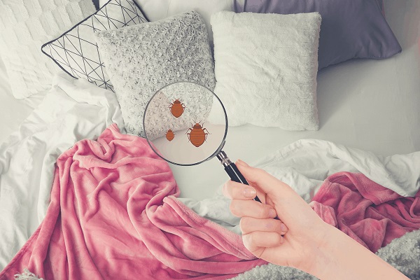 Nghi&ecirc;n cứu mới cảnh b&aacute;o loại gối tiềm ẩn nguy cơ ung thư v&agrave; đột quỵ- Ảnh 3.