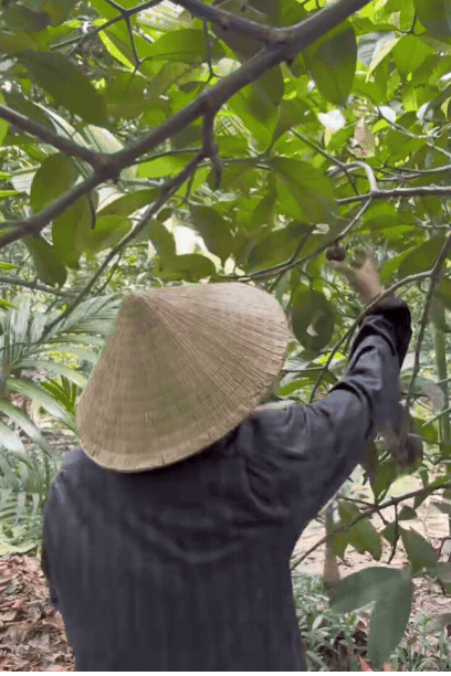 Tổng t&agrave;i số khổ nhất Việt Nam l&agrave; đ&acirc;y: Hết thời phải đi lột vỏ t&ocirc;m, cạo mủ cao su để mưu sinh- Ảnh 4.