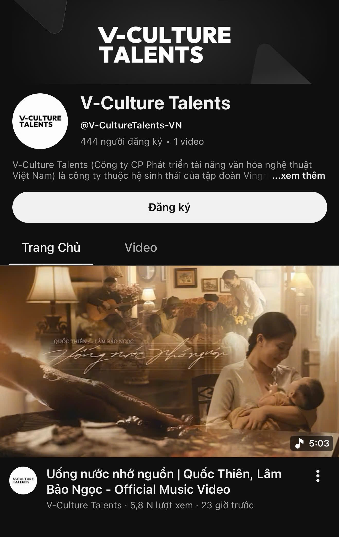 Doanh nghiệp của tỷ ph&uacute; Phạm Nhật Vượng ph&aacute;t h&agrave;nh MV đầu tay, ch&iacute;nh thức ra mắt mảng &acirc;m nhạc- Ảnh 2.