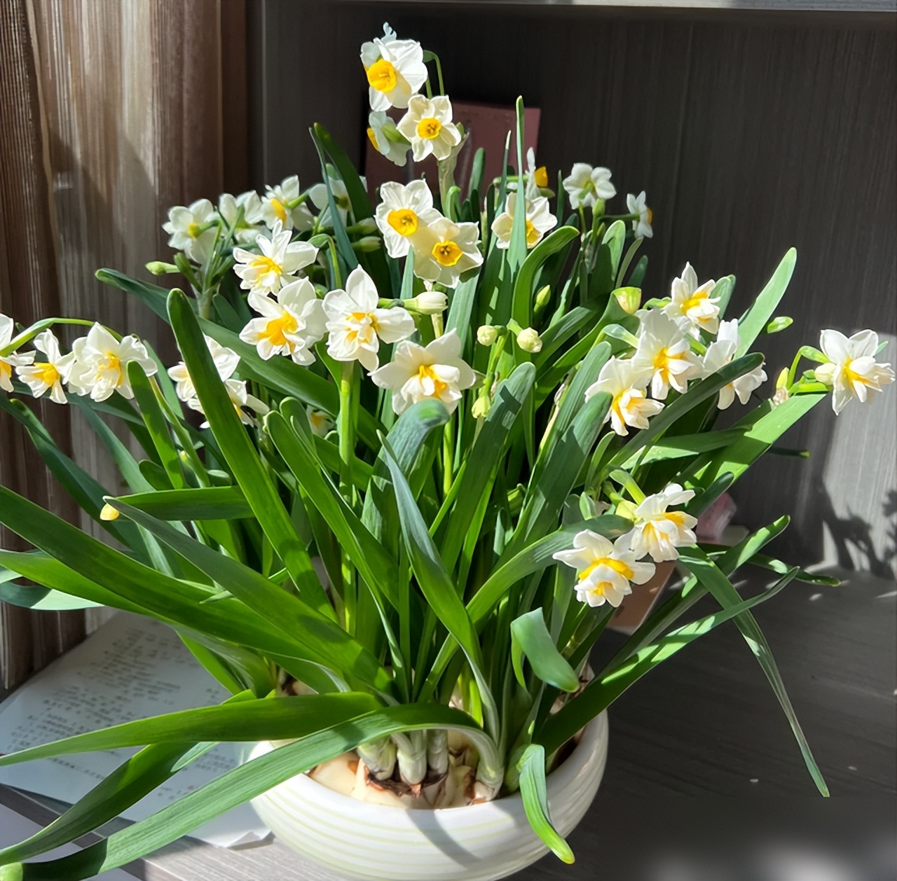 &ldquo;Hoa th&igrave; xanh tốt m&agrave; người cứ mệt mỏi&rdquo;: 6 loại c&acirc;y cảnh nhiều gia đ&igrave;nh vẫn trồng trong nh&agrave; nhưng tiềm ẩn kh&ocirc;ng &iacute;t rắc rối- Ảnh 1.