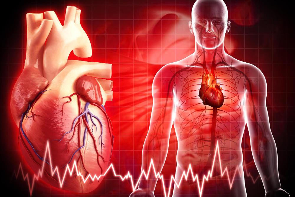 Mỡ m&aacute;u cao &ndash; kẻ th&ugrave; thầm lặng kh&ocirc;ng g&otilde; cửa b&aacute;o trước - Ảnh 1.