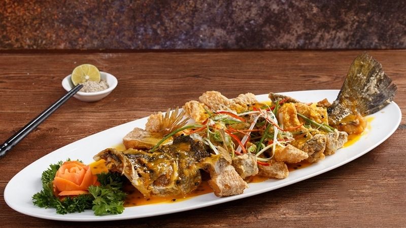 Lo&agrave;i c&aacute; gi&aacute; trị với dinh dưỡng vượt trội, sống được cả ở nước ngọt v&agrave; nước mặn - Ảnh 9.