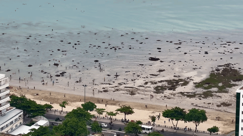 Cảnh tượng ở b&atilde;i biển Nha Trang khiến nhiều người bất ngờ, nhận x&eacute;t: Kh&ocirc;ng tin v&agrave;o mắt m&igrave;nh - Ảnh 1.