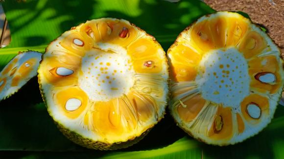 Đi chợ mua m&iacute;t: Nhớ kỹ 6 mẹo để chọn được quả ch&iacute;n c&acirc;y, nhiều m&uacute;i, thơm ngọt tự nhi&ecirc;n- Ảnh 3.