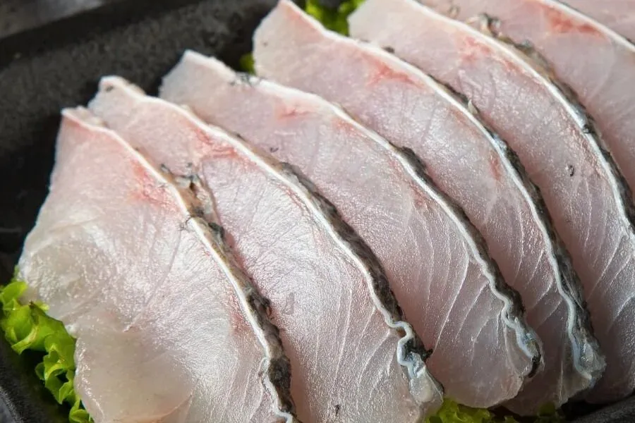 Lo&agrave;i c&aacute; gi&aacute; trị với dinh dưỡng vượt trội, sống được cả ở nước ngọt v&agrave; nước mặn - Ảnh 2.