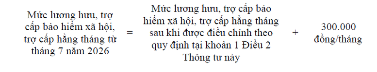 Hướng dẫn tăng lương hưu, trợ cấp BHXH, trợ cấp h&agrave;ng th&aacute;ng th&ecirc;m 8% từ 01/7/2026- Ảnh 3.