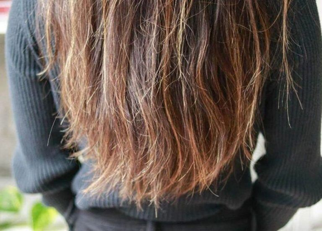 B&ocirc;i thứ n&agrave;y l&ecirc;n t&oacute;c trước khi gội đầu, t&oacute;c kh&ocirc; xơ mấy cũng mềm mượt: Hợp từ t&oacute;c nhuộm đến uốn xoăn, l&agrave;m 1 lần thấy r&otilde; kết quả- Ảnh 1.