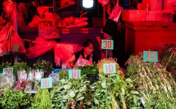 Một quốc gia ĐN&Aacute; t&agrave;i trợ 60% chi ph&iacute; mua 3.000 mặt h&agrave;ng thiết yếu cho người d&acirc;n: Canh bạc 3,7 tỷ USD k&iacute;ch cầu lớn nhất lịch sử- Ảnh 4.