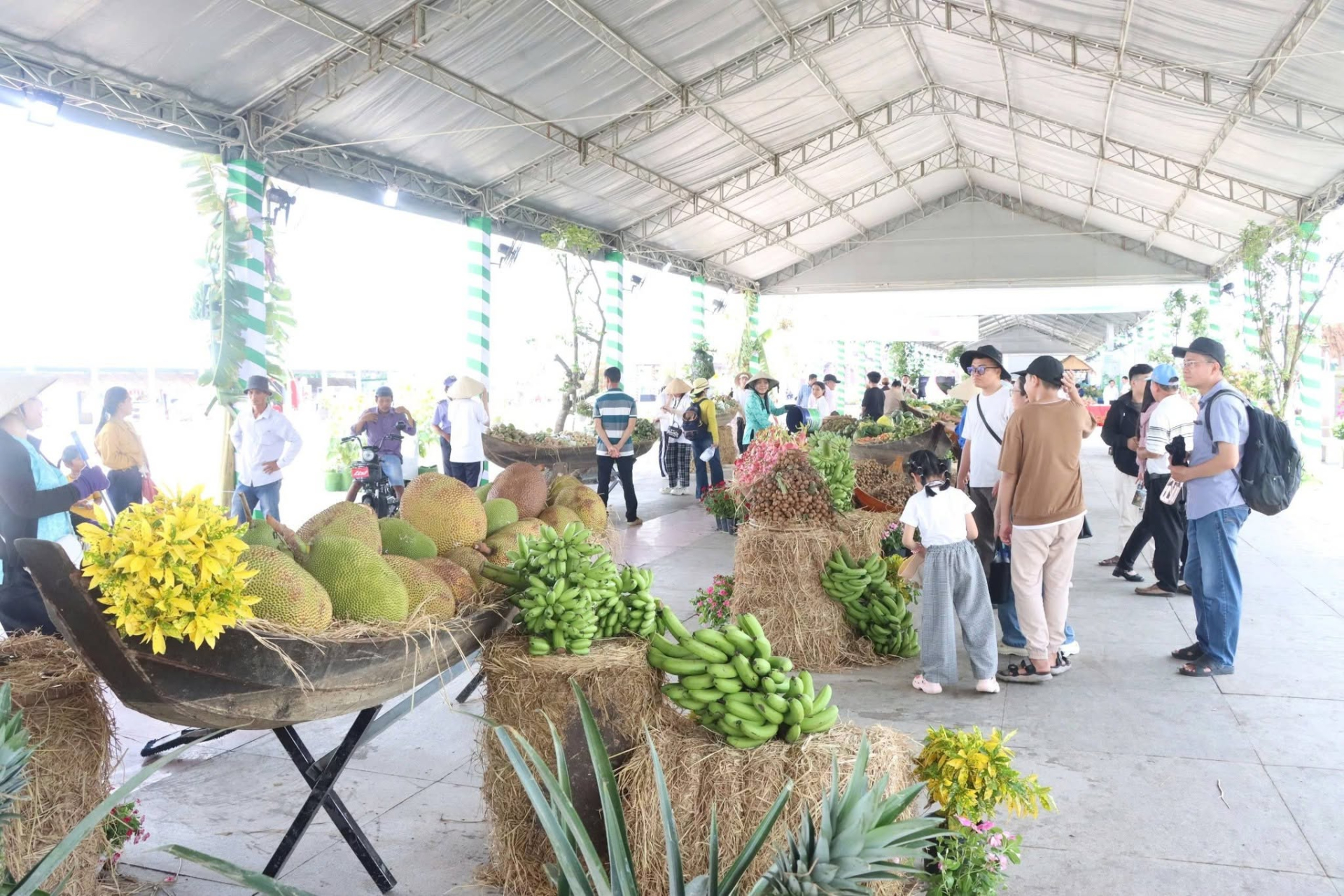 Lễ hội Trái cây Đồng Tháp thất thủ vì tiểu cảnh bị lấy mất trái cây ngay khi mới khai mạc- Ảnh 6.