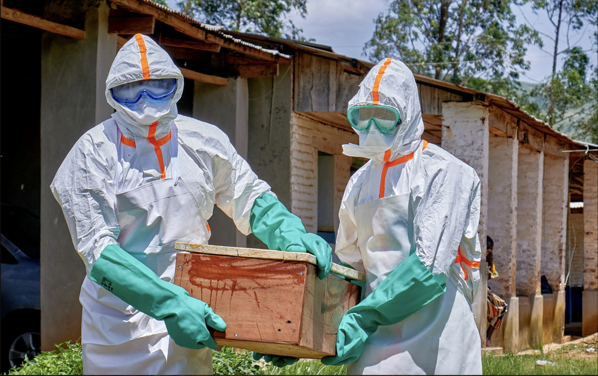 Nguy cơ t&aacute;i diễn thảm kịch Ebola 2014: WHO cảnh b&aacute;o số ca mắc tăng vọt- Ảnh 1.