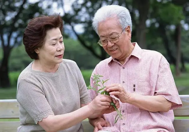 Nghi&ecirc;n cứu 100 người gi&agrave; nghỉ hưu: H&oacute;a ra người c&oacute; hậu vận hạnh ph&uacute;c nhất đều đang l&agrave;m 6 điều n&agrave;y- Ảnh 2.