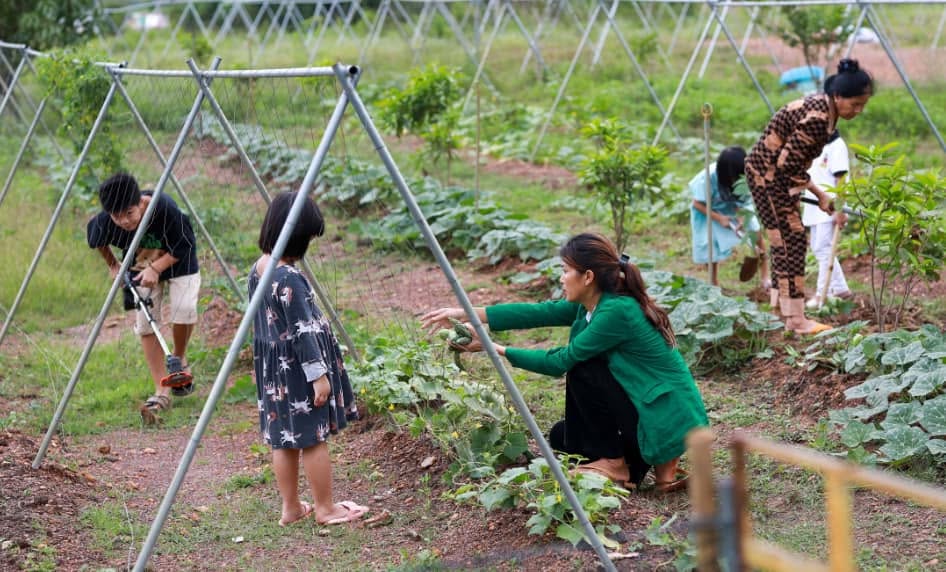 Hoa hậu đ&ocirc;ng con nhất Việt Nam rao b&aacute;n đất 25 tỷ ở Đồng Nai, từng muốn sang Campuchia b&aacute;n phở- Ảnh 4.
