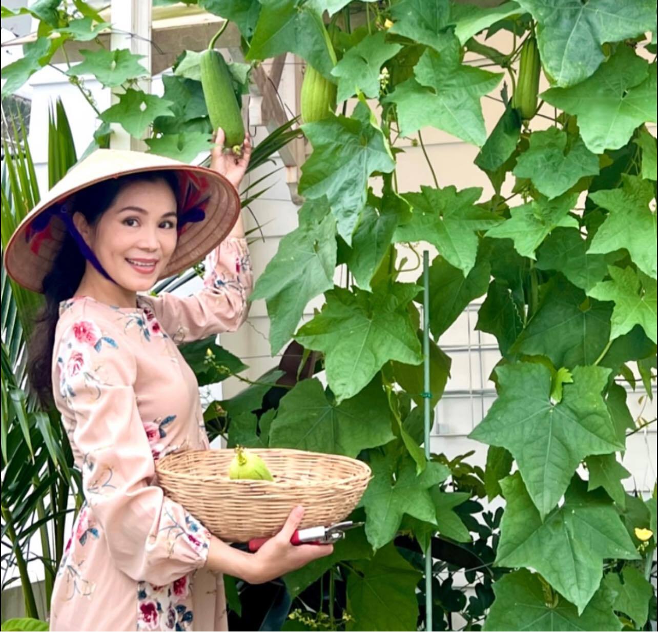 Đại gia S&agrave;i th&agrave;nh khoe khu vườn đẹp như resort ri&ecirc;ng: H&oacute;a ra đ&acirc;y ch&iacute;nh l&agrave; "xa xỉ phẩm" của người gi&agrave;u- Ảnh 19.