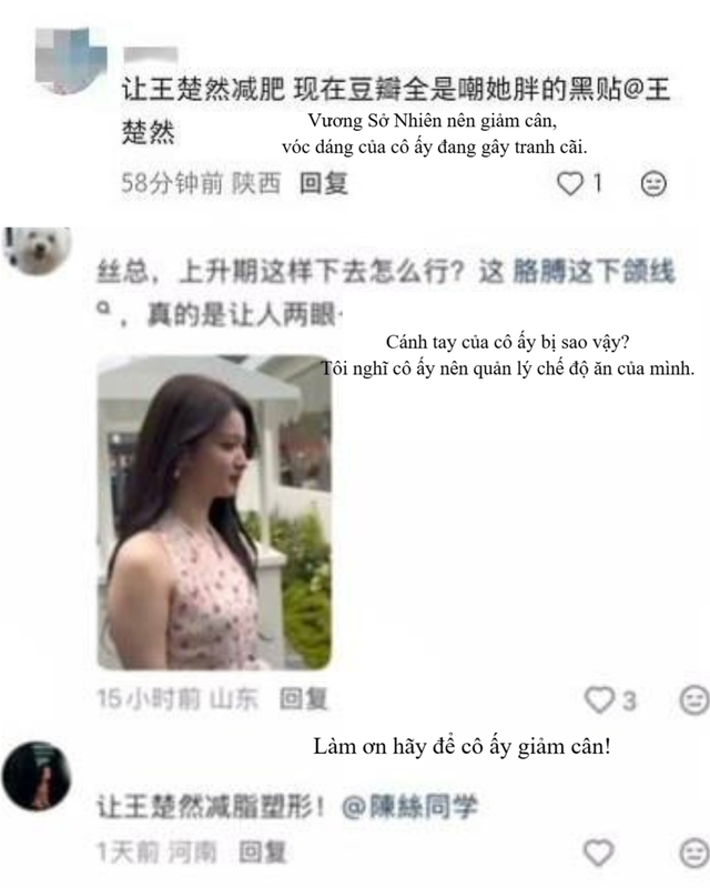 "Bản sao Lưu Diệc Phi" bị y&ecirc;u cầu giảm c&acirc;n- Ảnh 2.